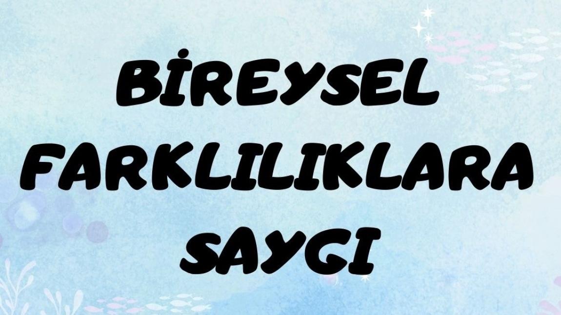 Bireysel Farklılıklara Saygı Temalı Rehberlik Panosu